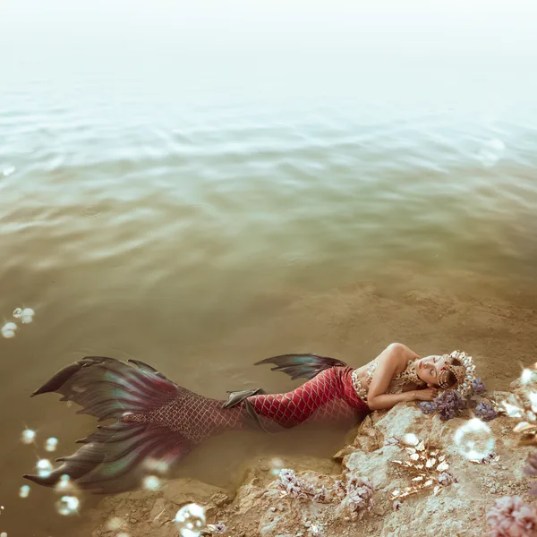 Facebook Syrena Byc